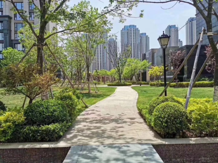 老子《道德经 · 第四章》原文、译文及注释