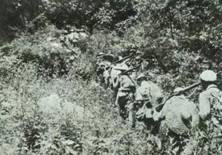 1965年，东北农村会计被检举，查出真实身份后，必须枪毙