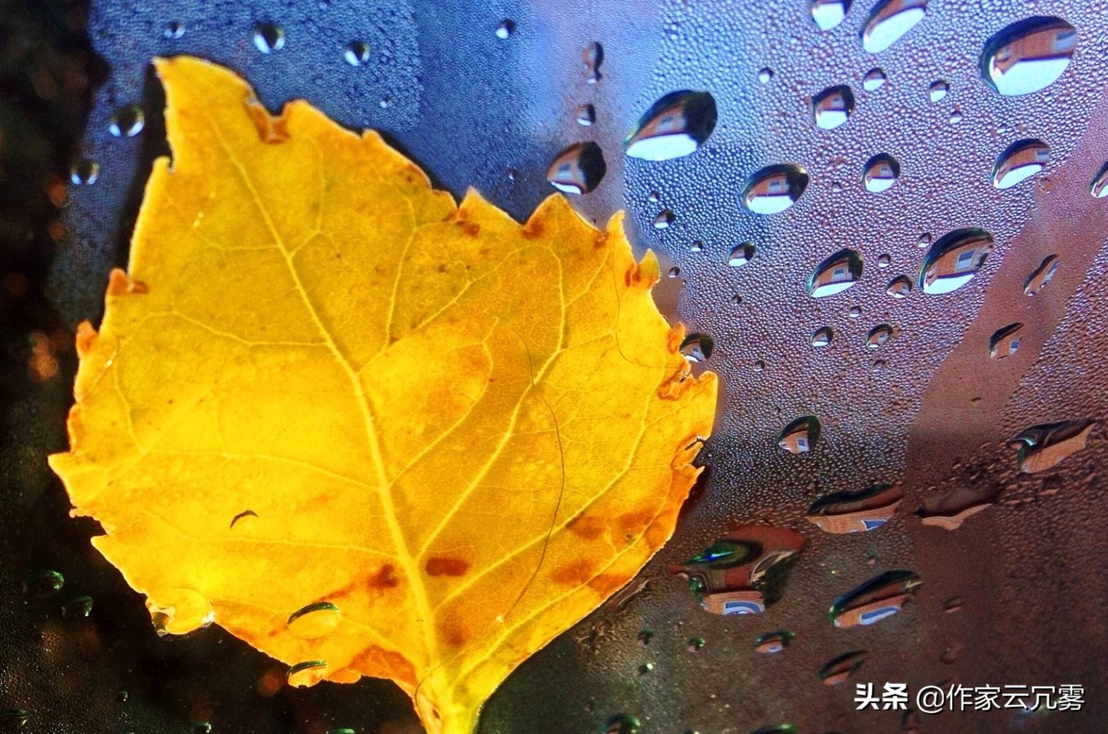 刘禹锡两首秋天诗词，千古绝诗传承至今，道尽人生酸甜