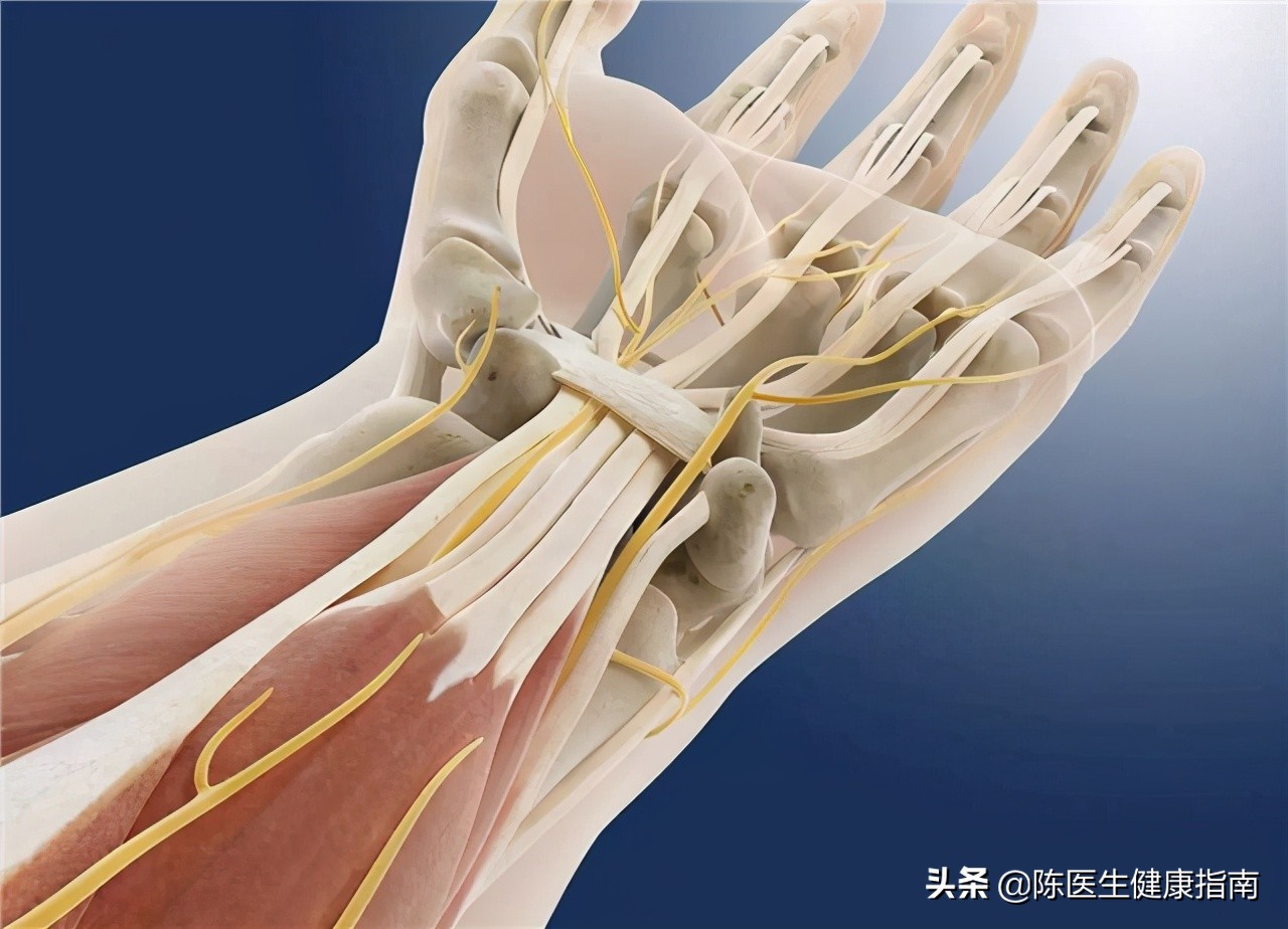 维生素D3、骨化三醇、阿尔法骨化醇，区别在哪里？到底该怎么选？