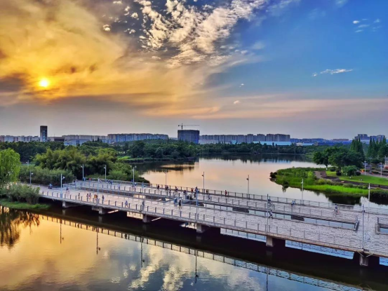 四川神仙高校：超20个食堂，宿舍三室一厅，有专属地铁站！网友：五星级体验！