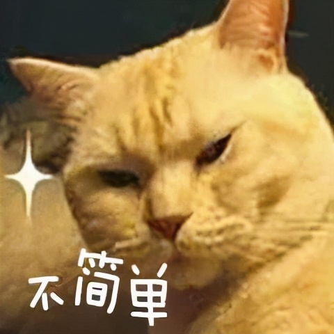 一年级就要住宿？民办小学宿舍大pk，带你深入各小学宿舍现场