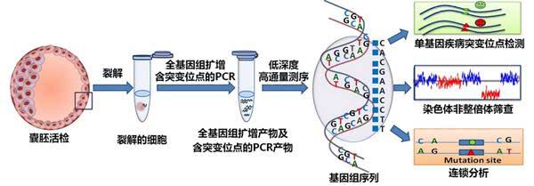 关于试管婴儿，你最想了解的问题都在这里