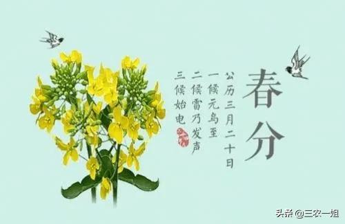 մЩ(x)ԒһָЩ