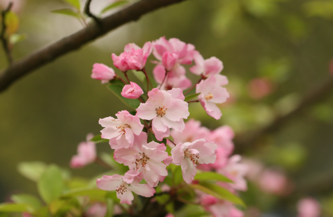 今年暑期，这3部电视剧超火，主角全部来自重庆这所高校！