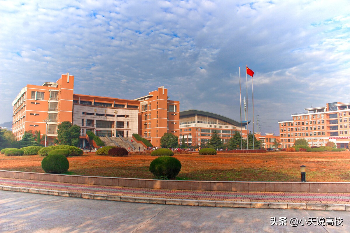 2021高考：表弟二本过20分，问我怎么报志愿，我却建议他去复读