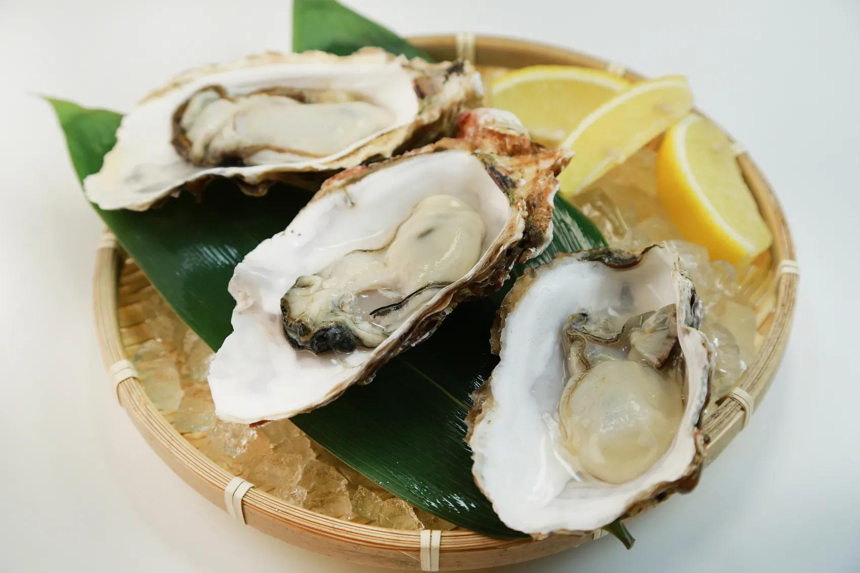 海蛎子在青岛平价,如果说生蚝和海蛎子是亲戚的话,我怎么也想不通它们