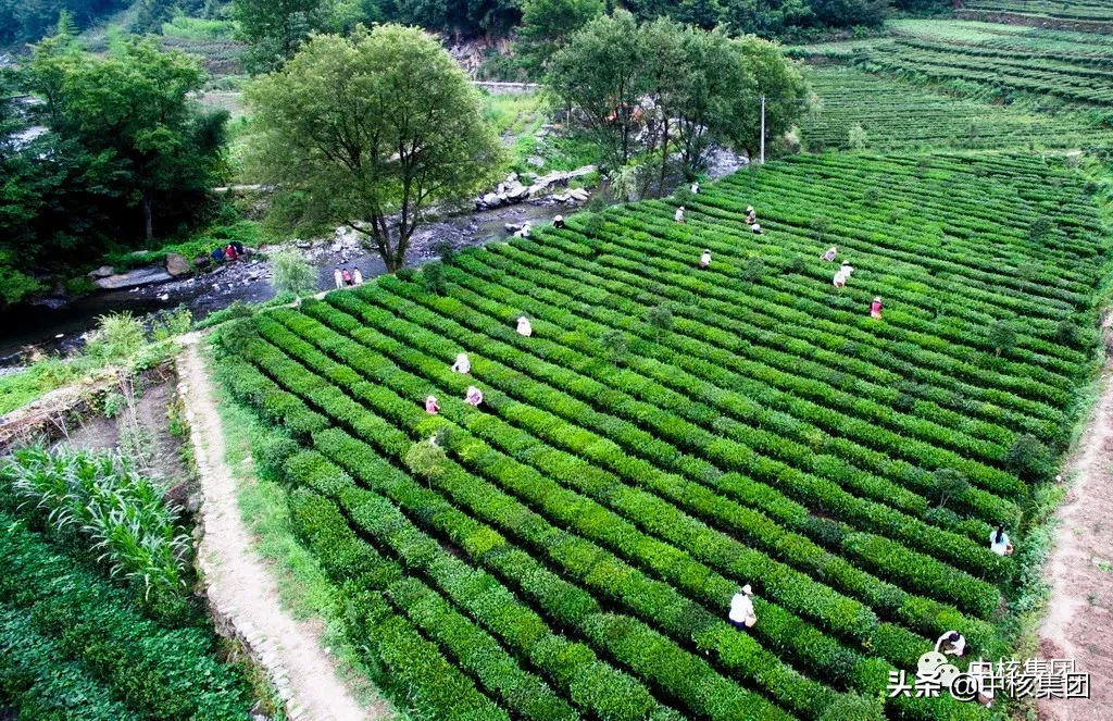 中核集团定点扶贫县陕西旬阳和白河实现“脱贫摘帽”