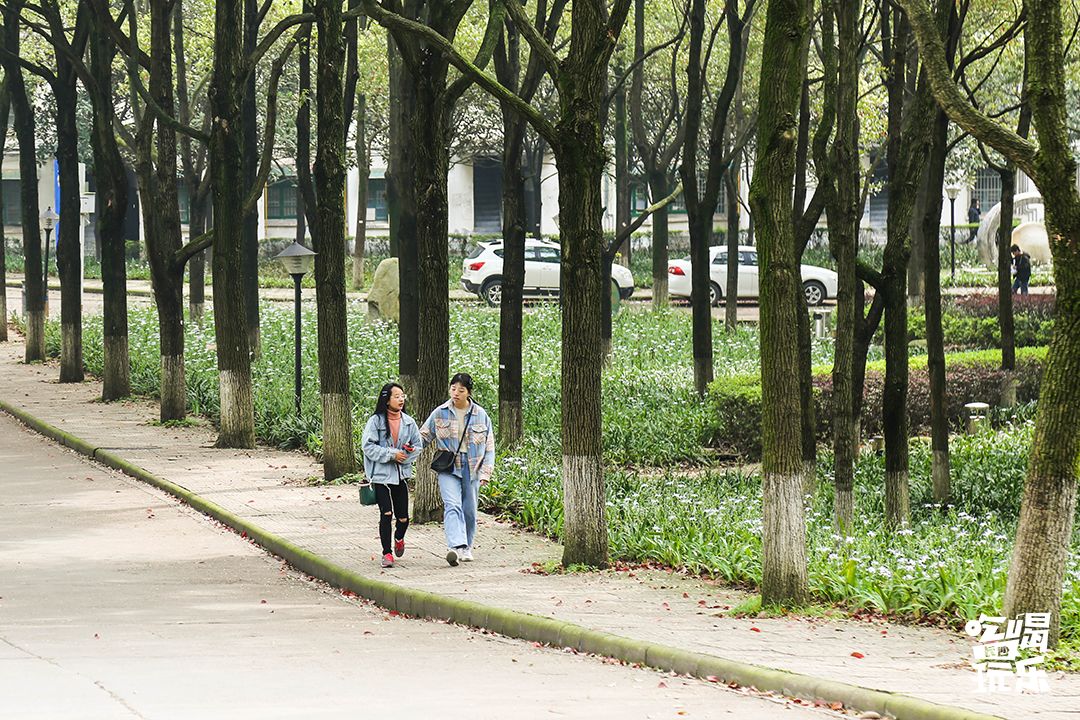 下一站，长沙大学
