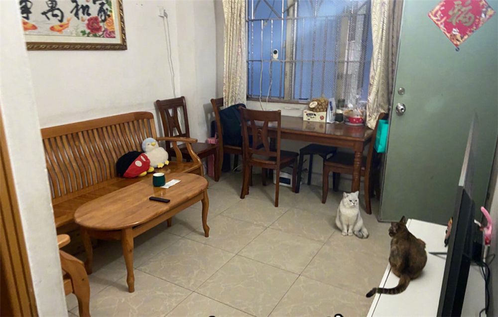 深圳夫妻40岁焕新家：精致装修记录