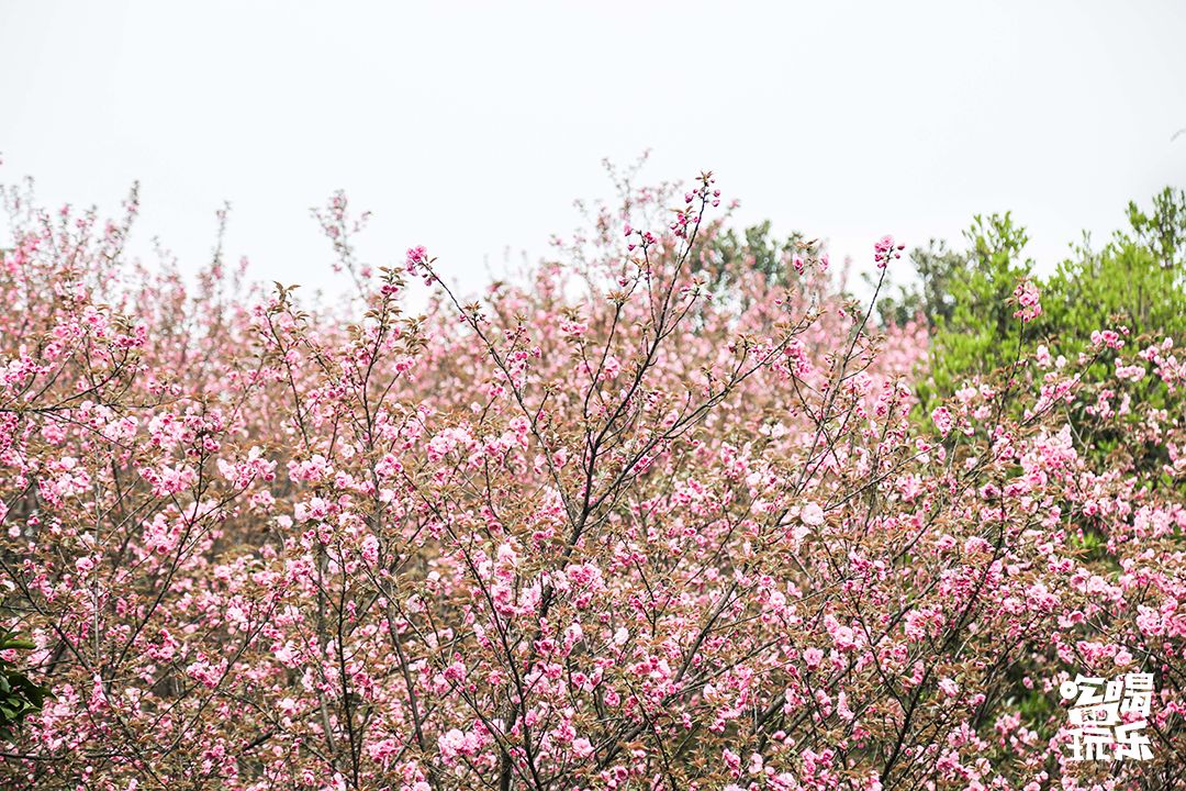 下一站，长沙大学
