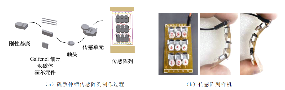 模仿動物毛發(fā)的觸覺機理，中國科學(xué)家設(shè)計出靈敏度更高的傳感器