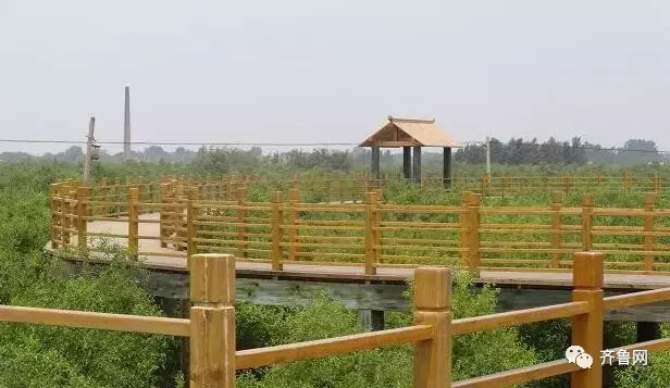 山东最容易读错的20个地名,看看你都读对了吗?