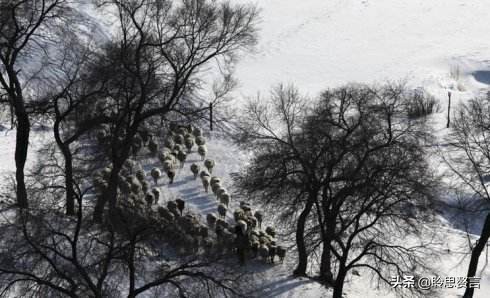 怀旧诗词精选一十五首 人生到处知何似，应似飞鸿踏雪泥