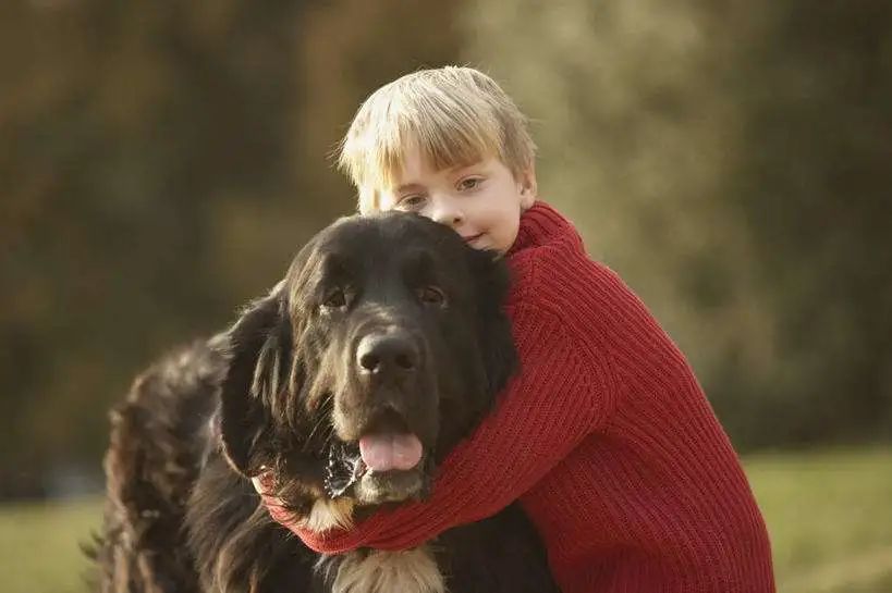 小学生作文《怀孕》走红，内容引人瞩目，老师：知道负责就很好