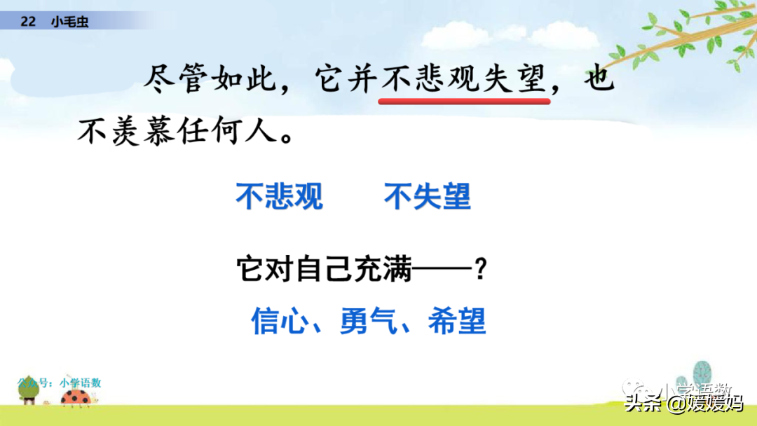 二年级下册语文课文22《小毛虫》图文详解及同步练习