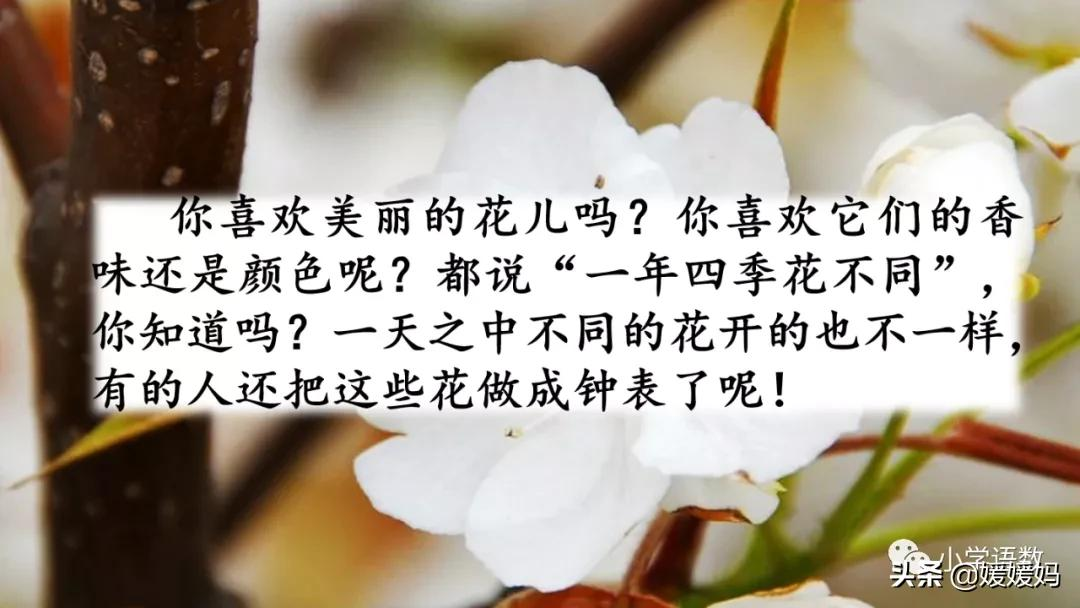 展开( ) 绽开( ) 展示( )四,重点段落品析鲜花朵朵,争奇斗艳,芬芳