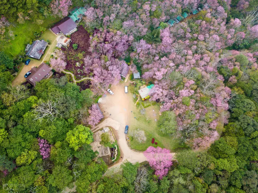 上方山森林公园