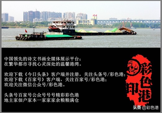 萌言萌语｜狗不懂 你懂哎！狗的错误，几乎都与你牵狗人失职有关