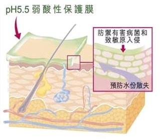 洗面奶、沐浴露和肥皂，哪个更适合洗脸？三者对比，差距真大