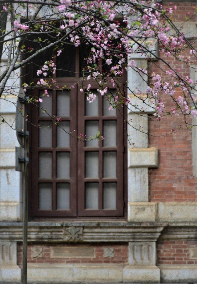 120个描写春天的好句段，让作文增光添彩的宝藏