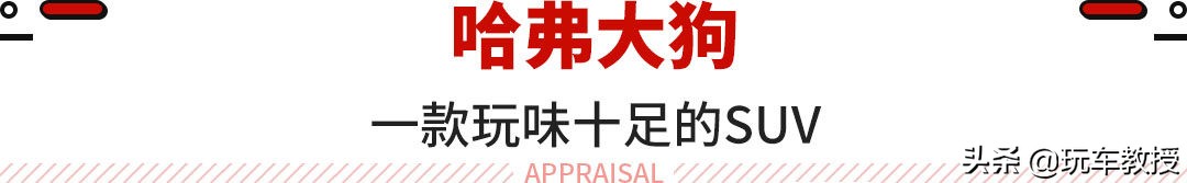 10来万买“大G”！哈弗大狗的真实售价太香了