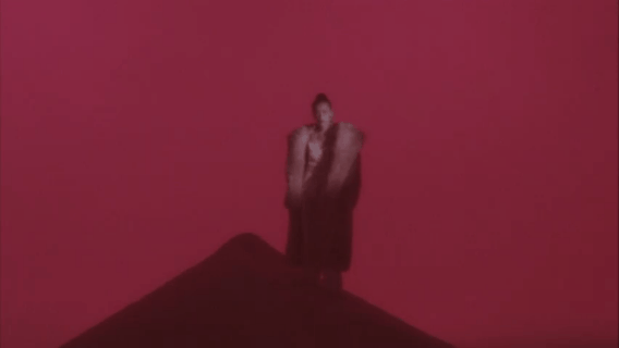 刘柏辛这么狂野？