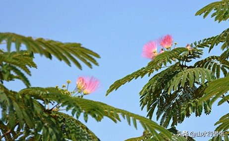 太行山下绒花小镇，河北省民俗文化名村——富家沟村