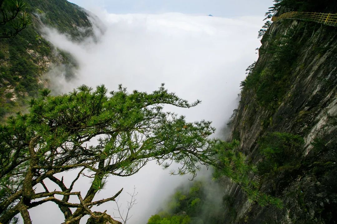 雾中听飞瀑，云遮一半山！云雾里的明月山也太美了吧！