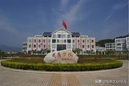 这些茶学专业的高校你知道吗？