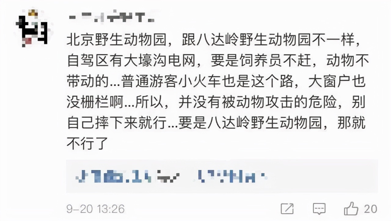 动物园老虎咬人,北京野生动物园老虎咬人