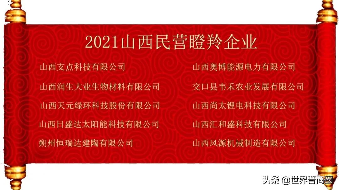 鹏飞集团成2021山西民营企业百强黑马,潞宝集团坐稳老三位置,