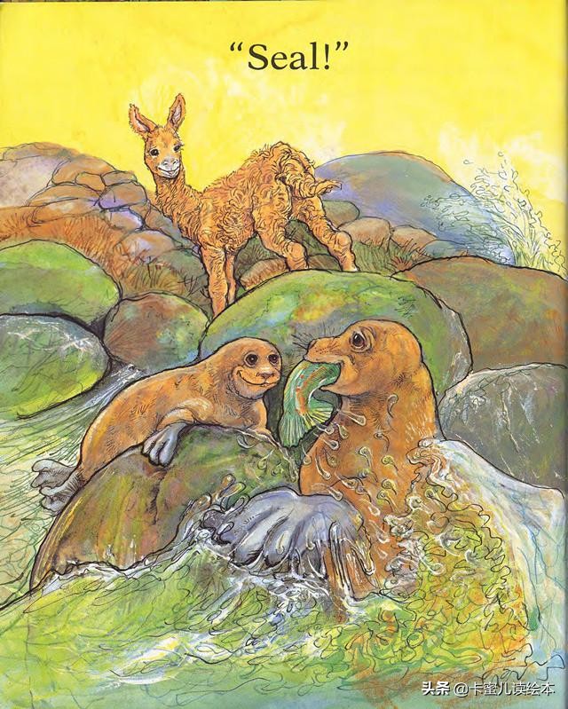 英文有声绘本《Is Your Mama a Llama》你的妈妈是羊驼吗？