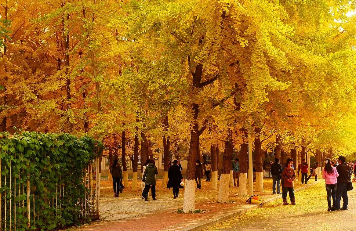 辽宁这3所知名高校十分低调，录取分数线不高，就业率很高