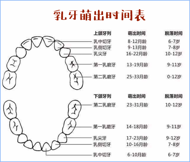 宝宝几个月长牙算正常？乳牙萌出时间、信号、护理注意，家长收藏