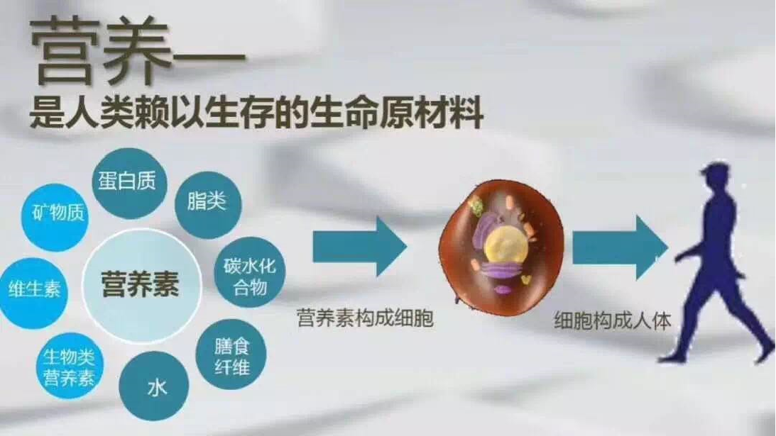 孕期营养很关键，营养师：选择孕期营养素这几点要谨记