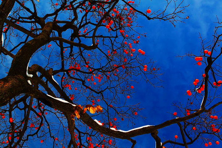 齐鲁系高校的形成与壮大，下一个以齐鲁命名的院校会是谁呢？