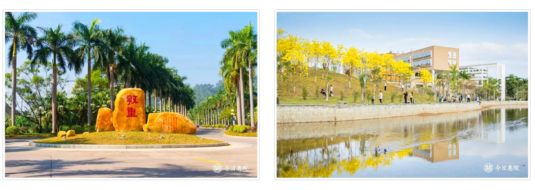 安家补贴24万以上｜惠州学院2021年专任教师招聘启事