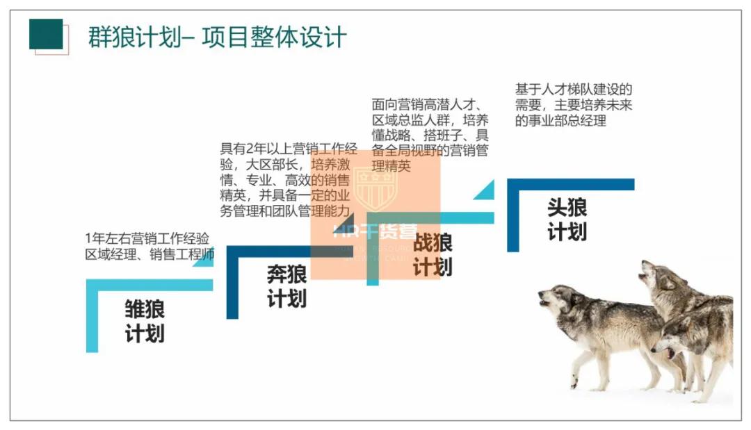 C叔教你如何写2021年度培训规划？50页全解析（干货！）