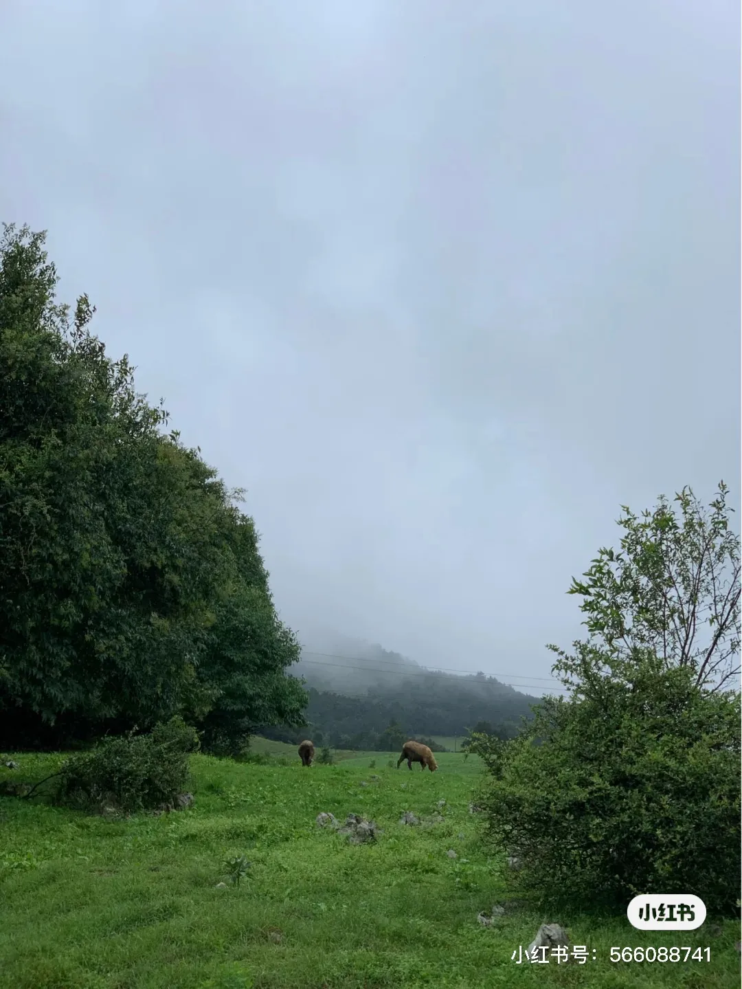 藏不住了！昆明周边的小新西兰，趁着还没开学赶快去打卡