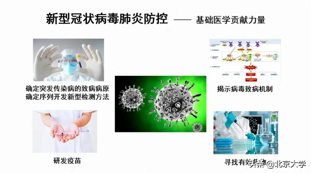 强基计划，北大医学等你来！