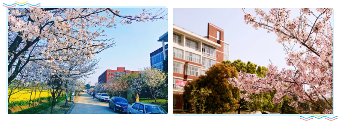 2020届学弟学妹，武汉外语外事职业学院在找你