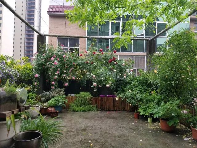 看完68道园艺专业术语，方可知园艺的秘密