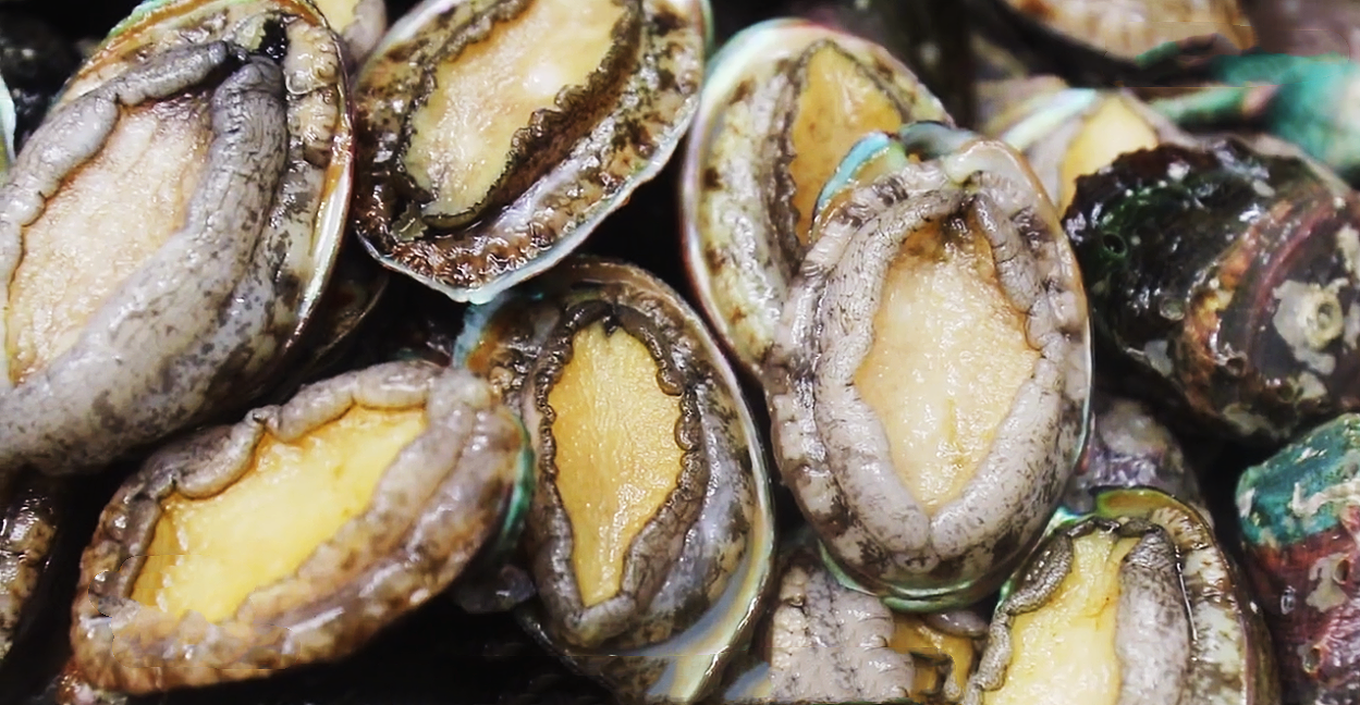 山西最出名的9道名菜，色香味俱全，美味可口，道道獨(dú)具晉菜特色