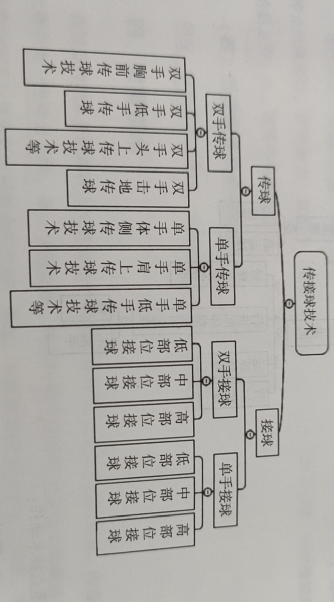 篮球比赛分为多少步(硬核科普~  篮球运动的主要技术、战术)