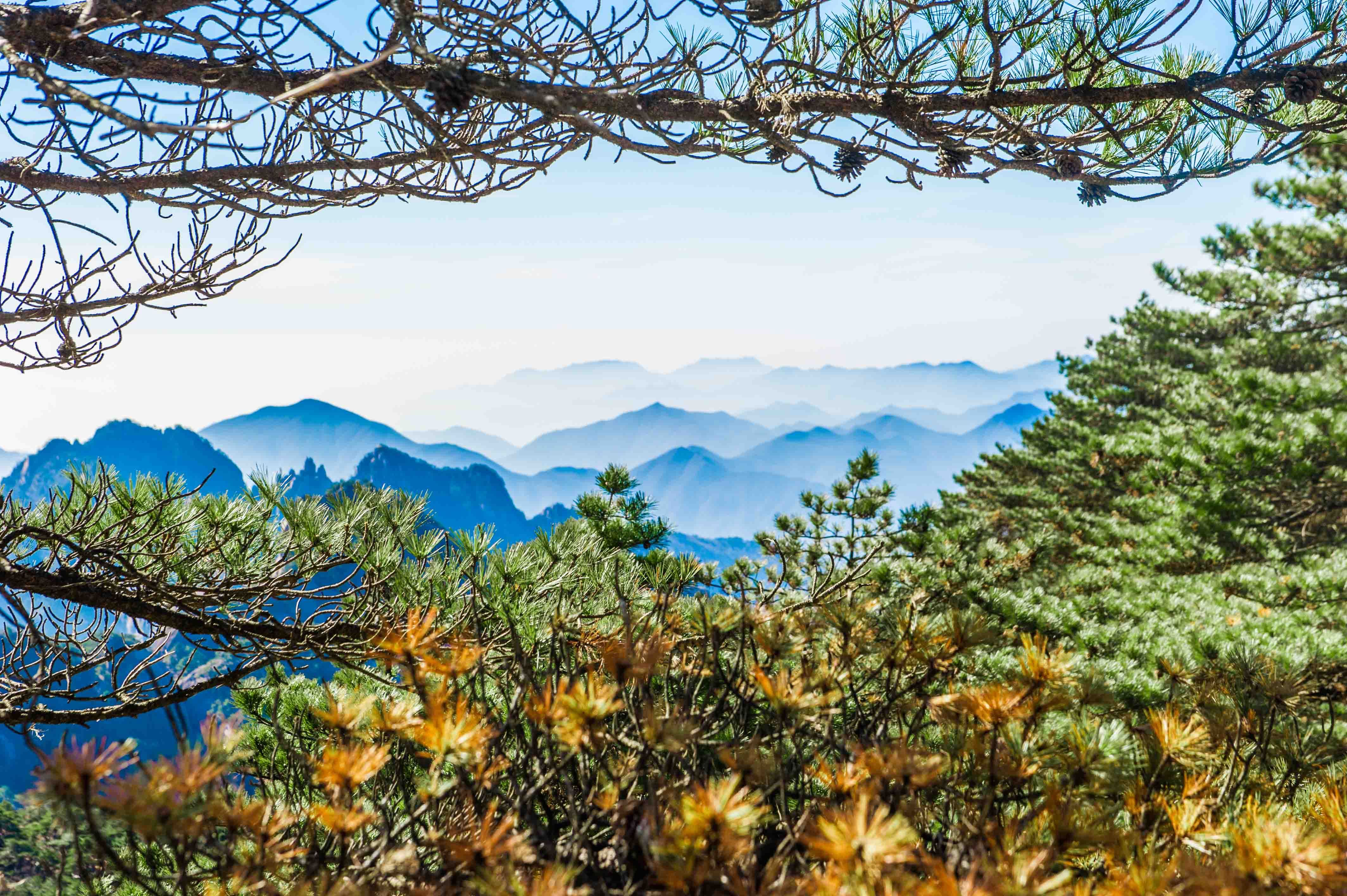 黄山五绝分别是什么（黄山最漂亮的五绝风景介绍）