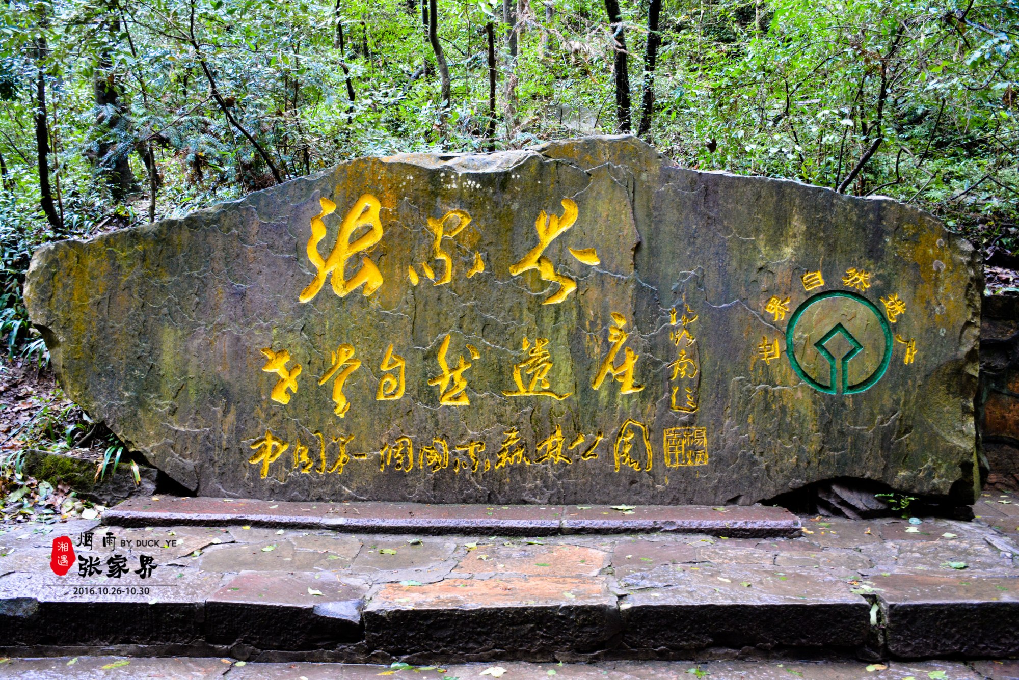 待疫情过去后，来张家界旅游吧，这三个景点不容错过！​