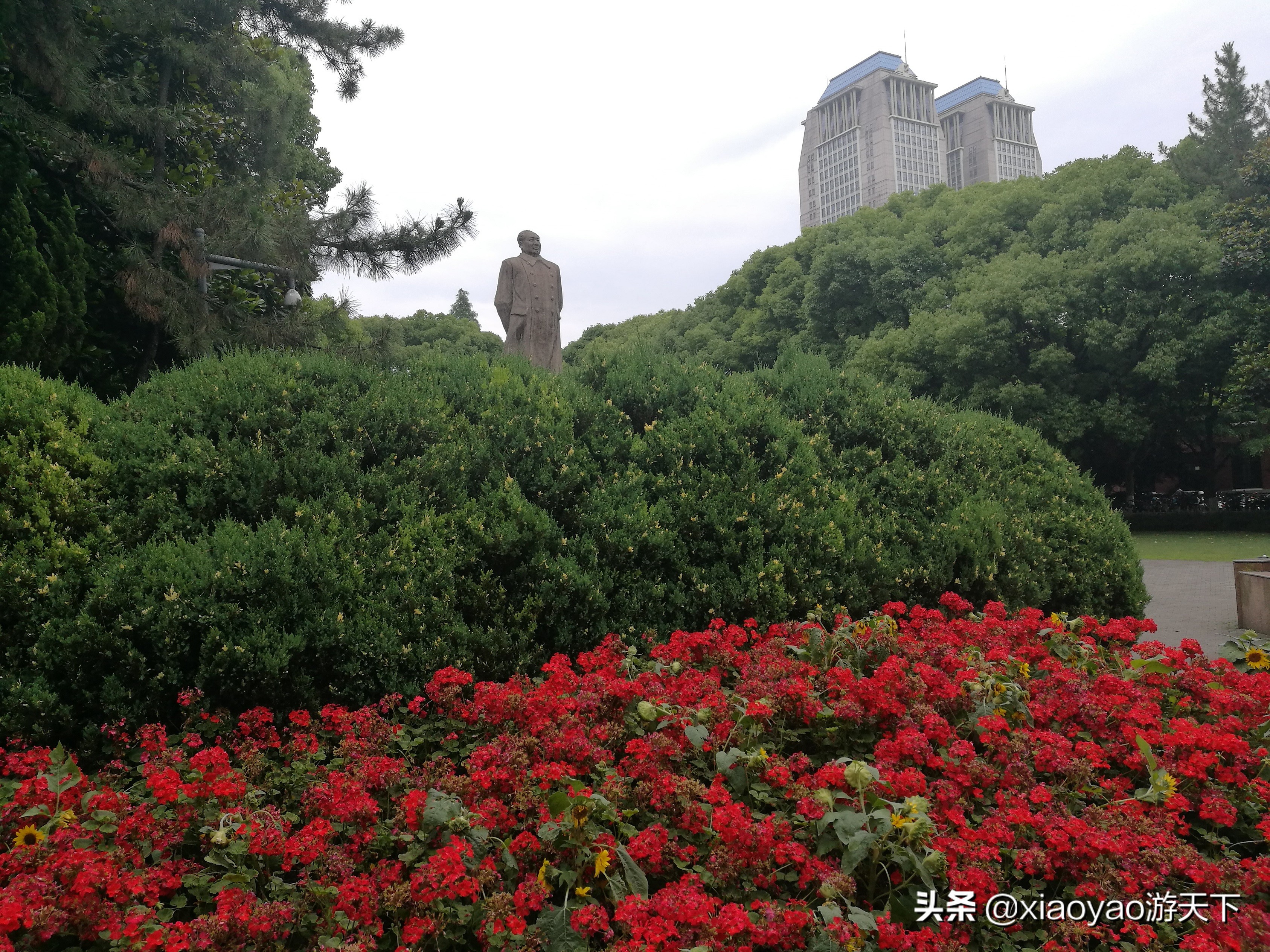 最美大学之旅——复旦大学