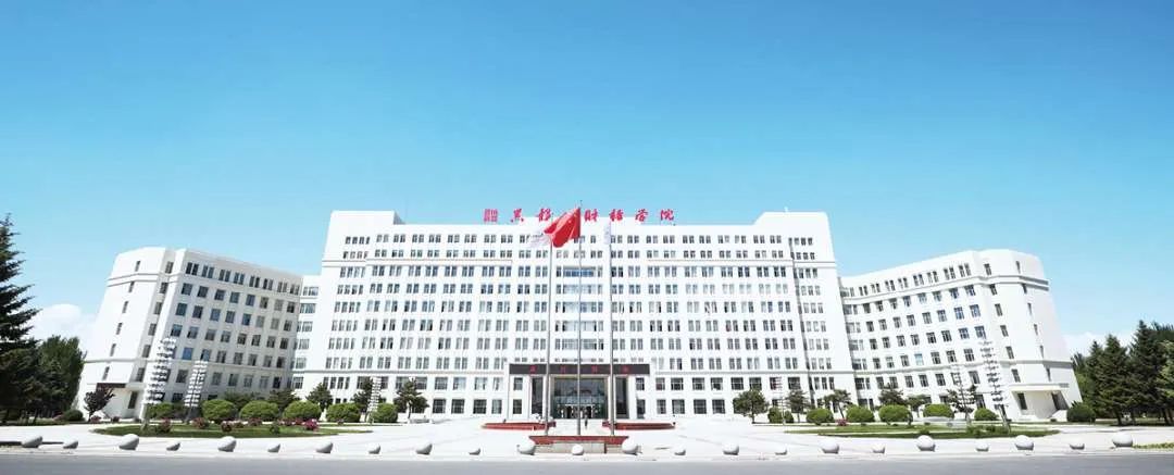 新区高校集结 | 网络铸魂 数字德育，走进黑龙江财经学院！