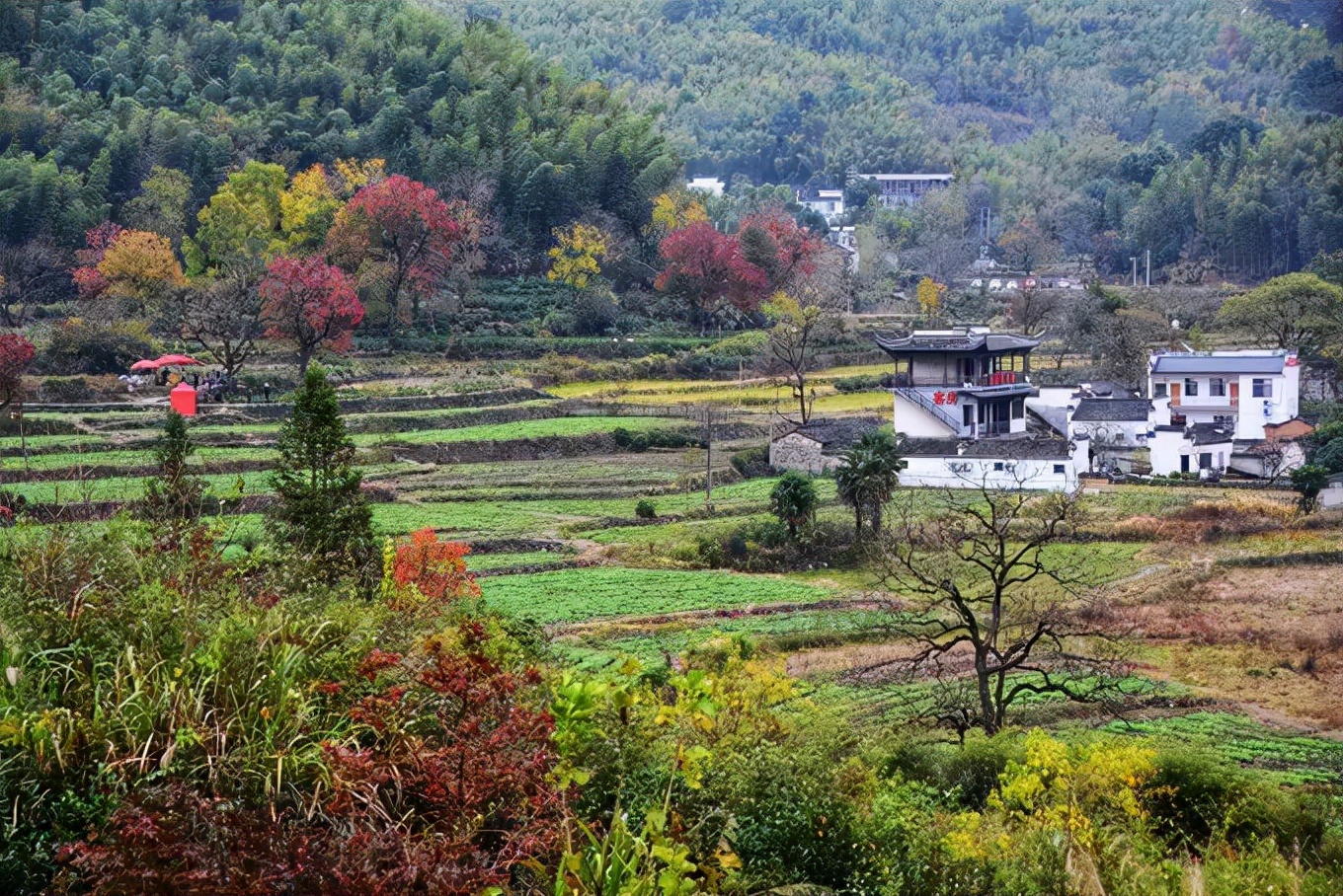 9月，这10个地方藏着中国最美景色！千万别错过了